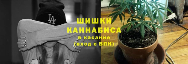 мдпв Чегем