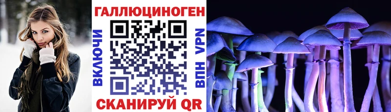 Псилоцибиновые грибы Psilocybe  блэк спрут tor  Рузаевка 