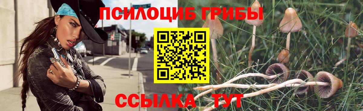 Рузаевка  наркотики  Вход с VPN  Галлюциногенные грибы GOLDEN TEACHER 