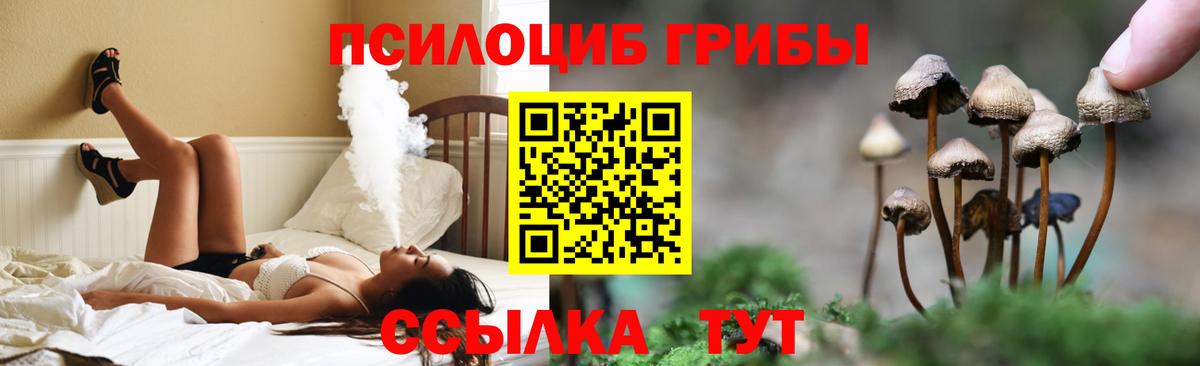 Галлюциногенные грибы MAGIC MUSHROOMS Рузаевка